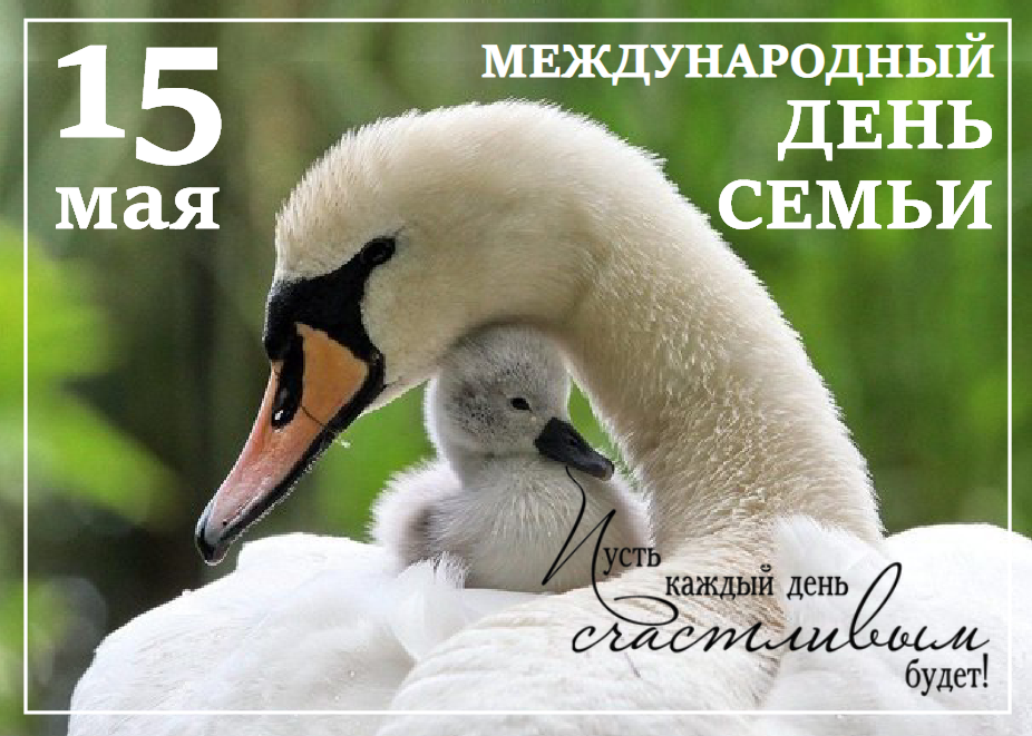 Снимок экрана 2022 05 13 151926